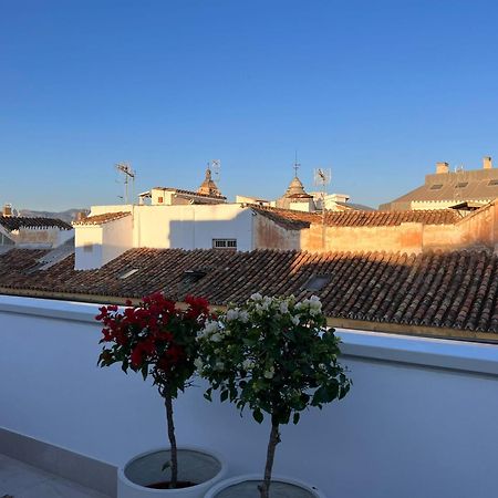 Atarazanas Suite, Atico Con Terraza Malaga Bagian luar foto