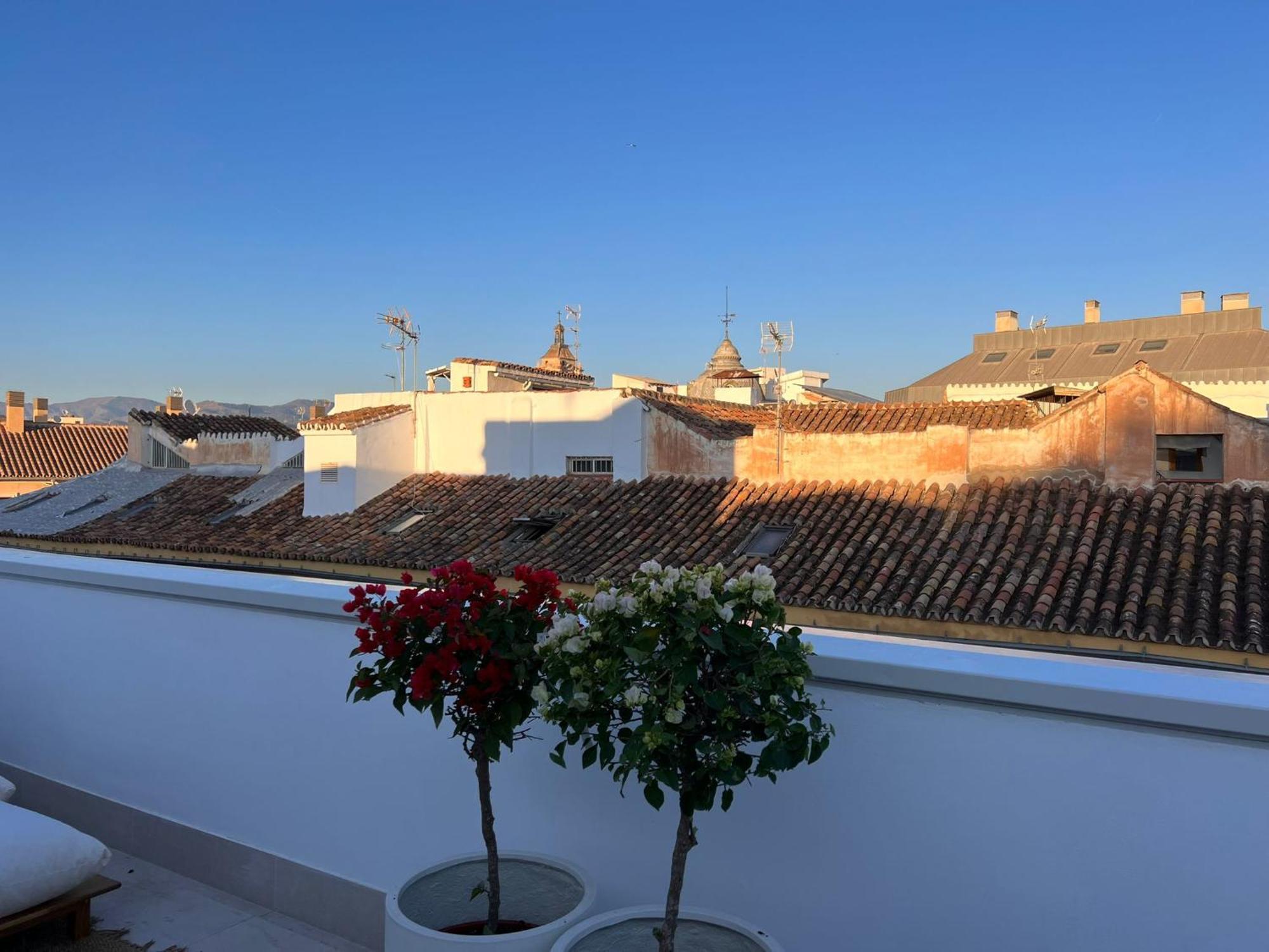 Atarazanas Suite, Atico Con Terraza Malaga Bagian luar foto